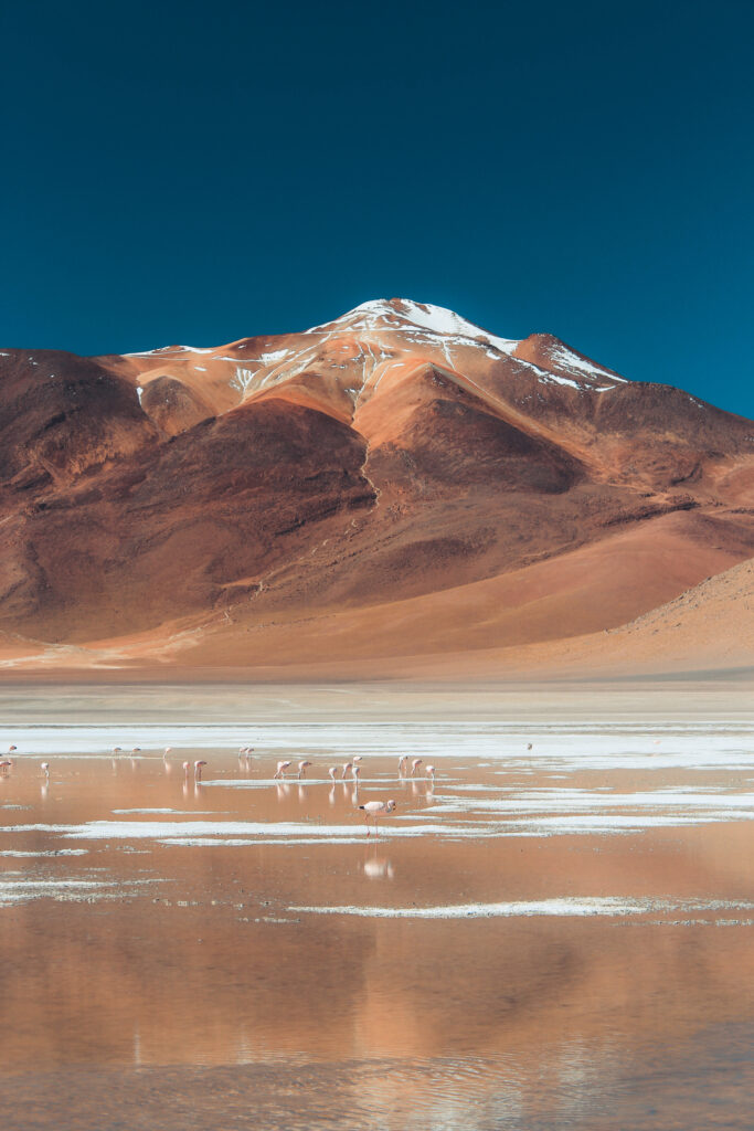 plano-amplio-de-una-montana-y-un-cuerpo-de-agua-en-el-desierto-en-un-dia-soleado