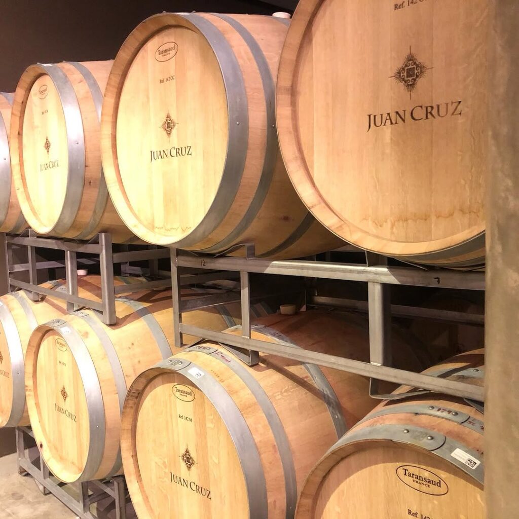 Barrels_of_wine_in_Tarija