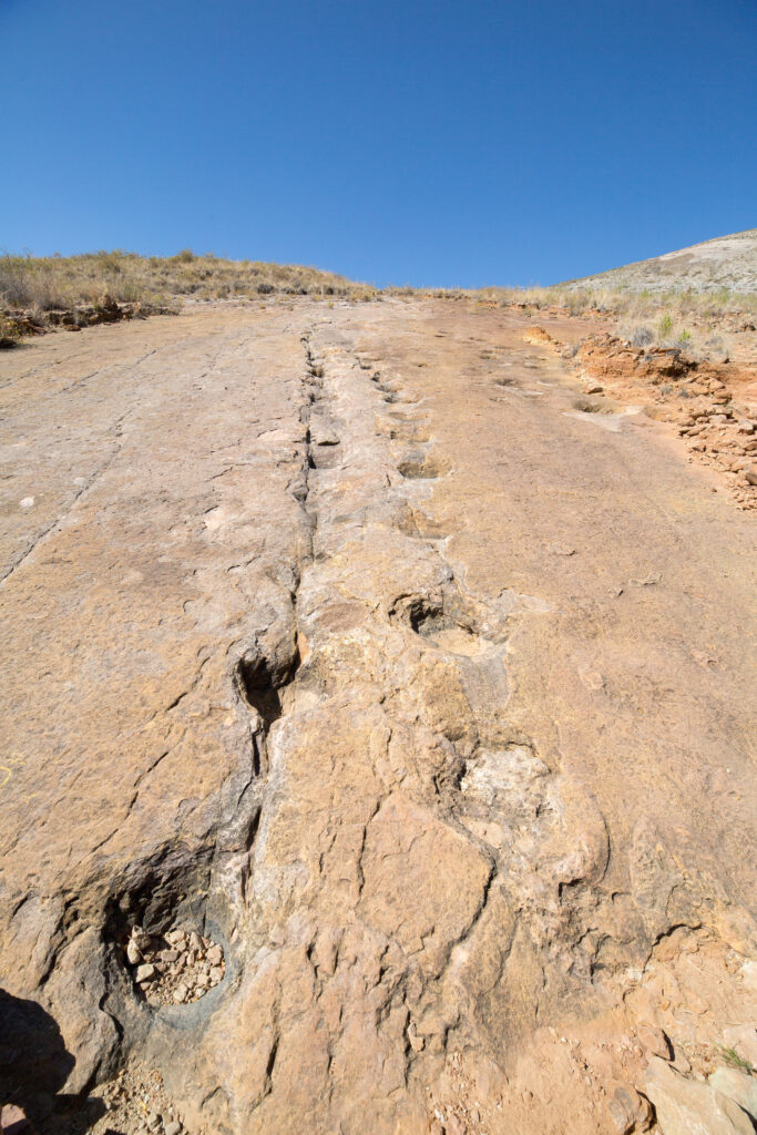 Dinosaur_footprints_in_ToroToro_Bolivia