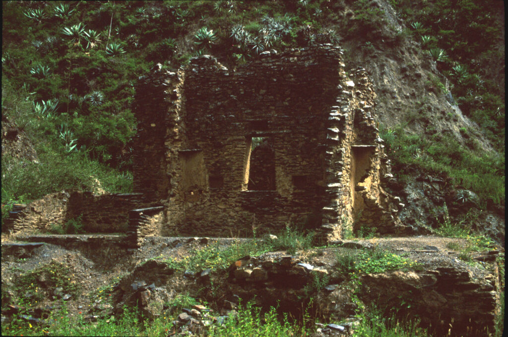 Ruinas_de_una_vivienda_de_la_ciudadela_de_Iskanwaya