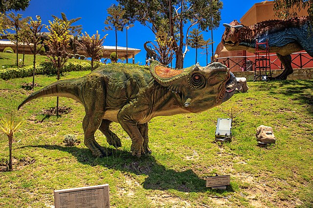 Sucre, Bolivia...a visit to the spectacular dinasaur footprints park...