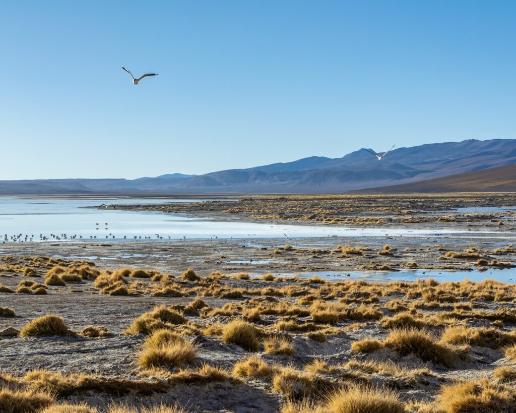 Uyuni
