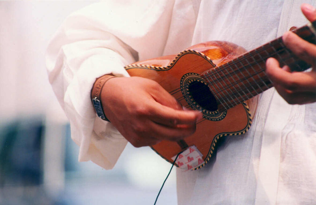 Charango_strings_played_1