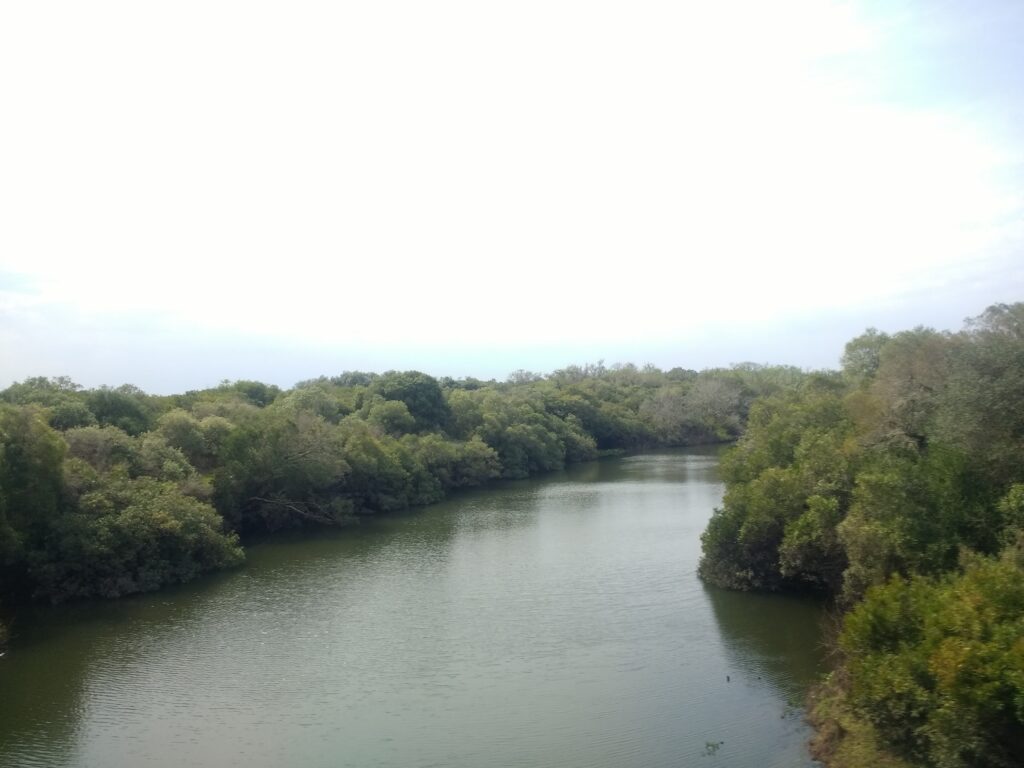 Arroyo_Guaviyú_cerca_de_las_termas