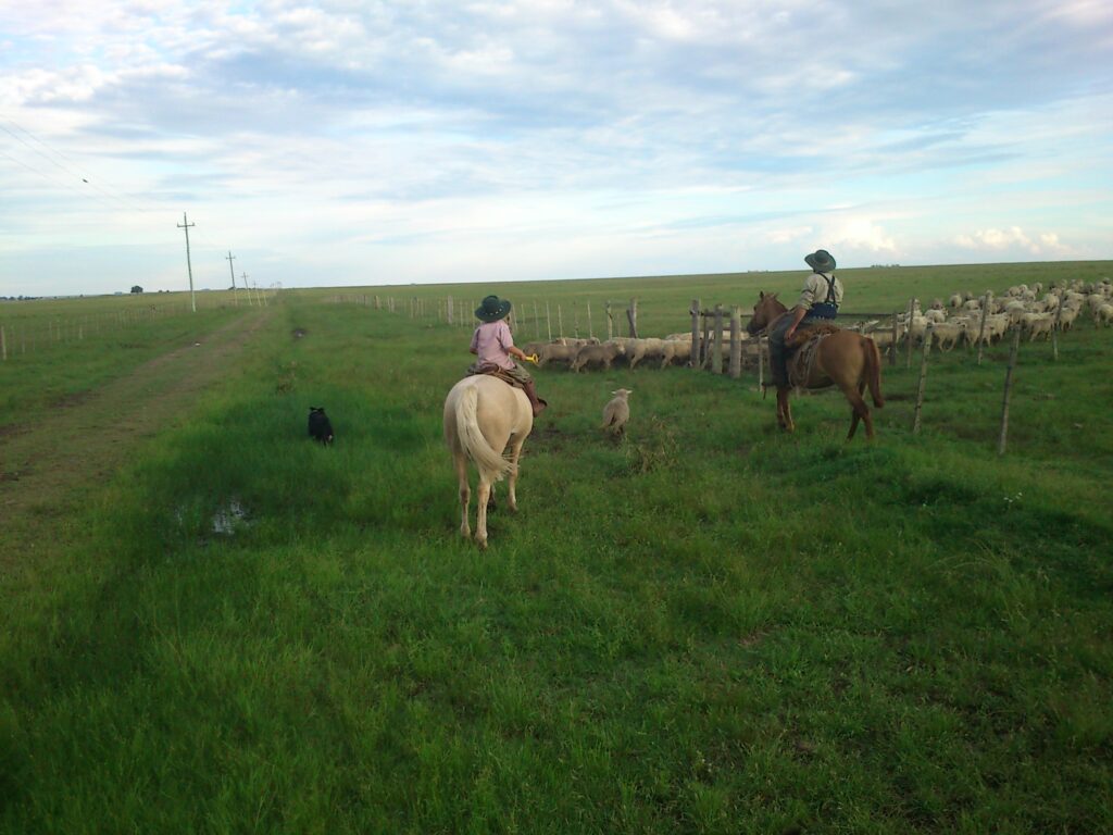 Paysandú,_Uruguay