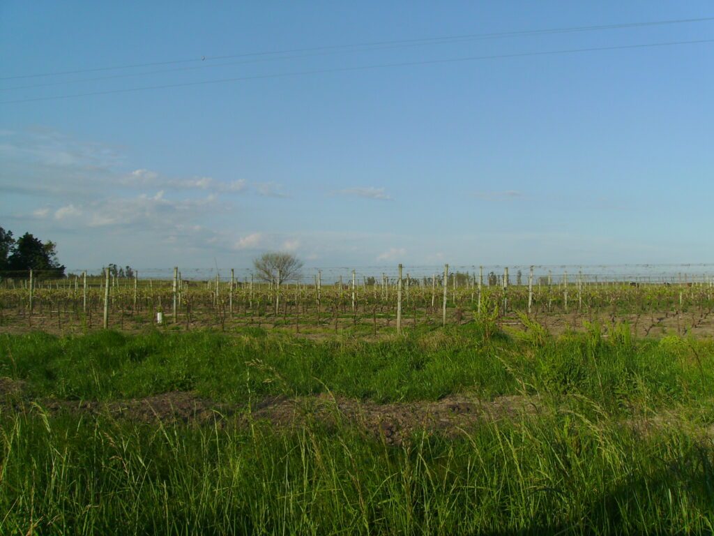 Digital Camera