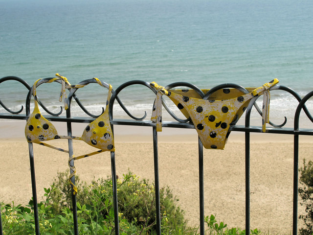 Yellow_polka_dot_bikini_-_geograph.org.uk_-_2387466