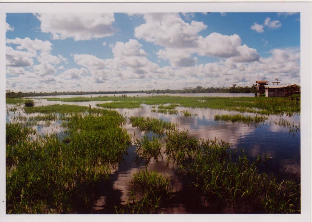 Paisaje_amazónico_de_Iquitos