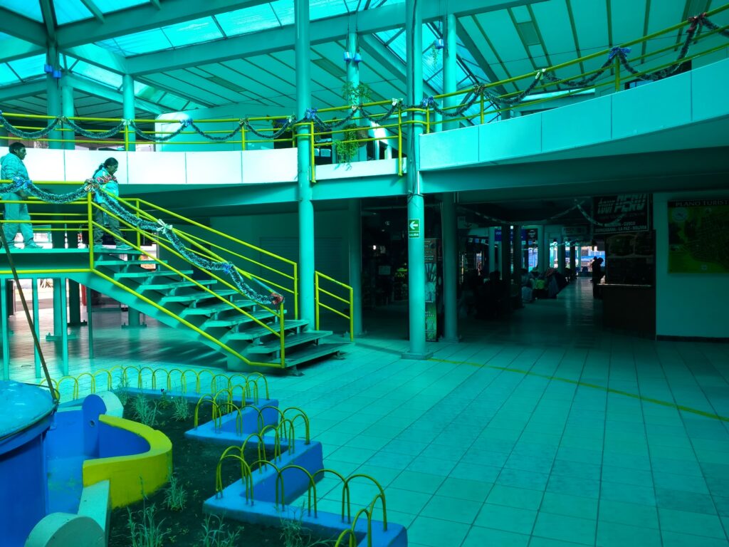 Terminal_terrestre_de_Puno (1)