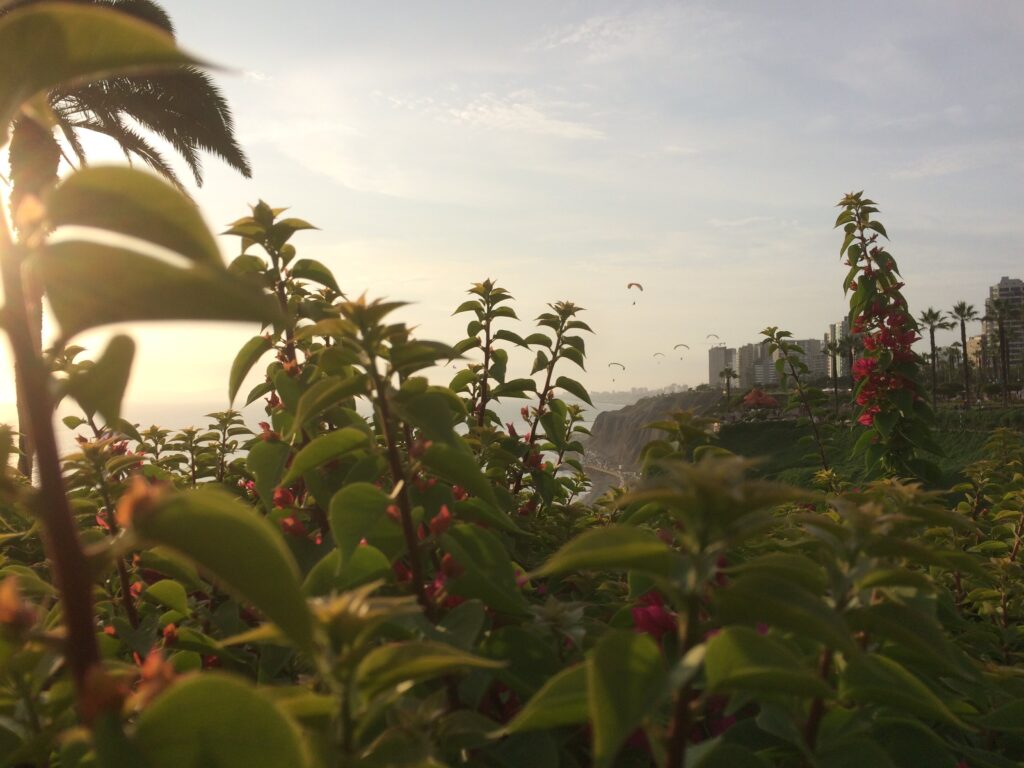 La_costa_verde_miraflores (1)